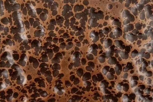 户外爆花金91131.jpg 户外爆花金91131.jpg