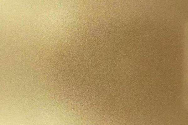 户外闪金2862 户外闪金2862