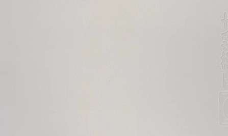 户外珍珠白1689 户外珍珠白1689