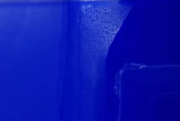 透明兰003 透明兰003