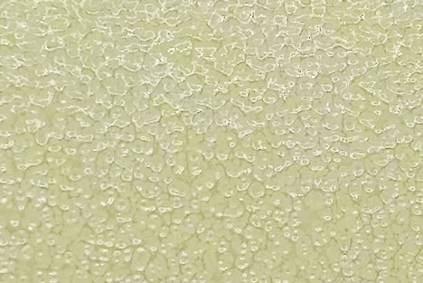 户外黄花纹2015 户外黄花纹2015